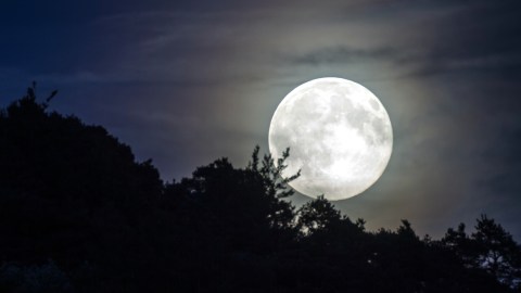 Luna llena.