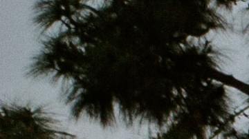 Cementerio de veteranos en San Diego. Imagen ilustrativa.