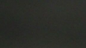 Las peleas de gallos son ilegales en los 50 estados del país.