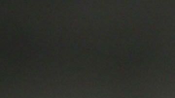 Las peleas de gallos son ilegales en los 50 estados del país.