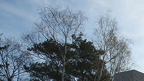 Este es uno de los errores más sorprendentes que ocurren con este apoyo.