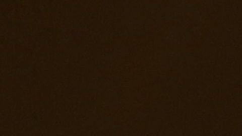 El senador estadounidense Lindsey Graham (R-SC) habla en la audiencia del Comité Judicial del Senado.