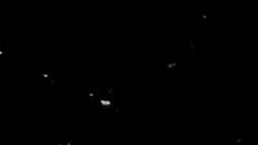 NYPD tiene mayor presencia en parques.