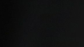 Los casos de deportaciones también se retrasan en las cortes.