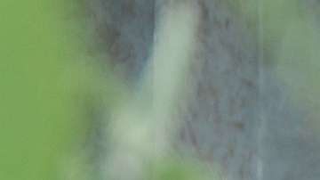 Consigue el perdón que necesitas.