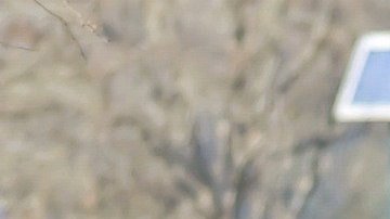 Acudir a un parque público puede estar bien, si te mantienes alejado del resto de las personas.