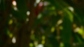 Los adultos mayores deben cuidarse porque los niños sí pueden ser portadores y no tener un solo síntoma que les afecte.