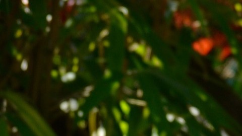 Los adultos mayores deben cuidarse porque los niños sí pueden ser portadores y no tener un solo síntoma que les afecte.