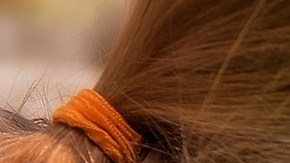 Manténgase conectado con la naturaleza y  aproveche este tiempo para estrechar vínculos realizando actividades de mutuo interés.