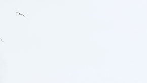 Algunas tiendas aún dependen demasiado de las ventas de sus tiendas físicas.