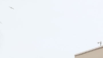 Algunas tiendas aún dependen demasiado de las ventas de sus tiendas físicas.