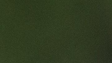 Los avispones gigantes pueden llegar a medir unos 5 centímetros.