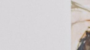 La astrología te dice cómo aceptar una crítica.