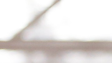 Karate, un arte marcial que puedes aprender gratis.