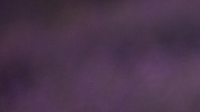 La lavanda posee propiedades relajantes y energéticas.