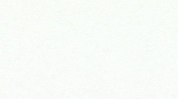 El aloe vera posee múltiples beneficios.