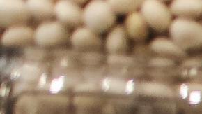 legumbres-Polina Tankilevitch en Pexels