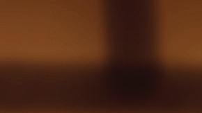 Los limones son nuestros aliados energéticos.