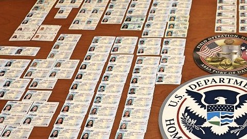 licencias falsas