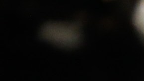 lilian garcia bikini