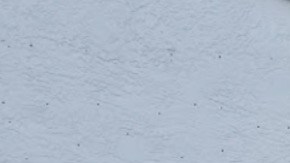 Imagen exterior de la barbería Lion Style de Miramar.