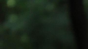 Cinco signos del zodiaco son considerados por ser los que peores besos dan