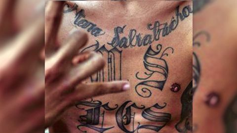 ms-13