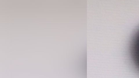 La promoción sólo es válida para suscriptores de los servicios premium de la empresa.