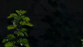 La mayoría de los casos en la Gran Manzana se han registrado con niños de la comunidad judía ortodoxa.