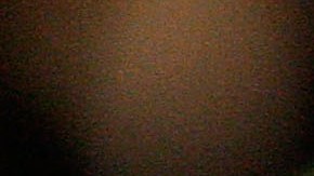 nueva variedad de rosas gigi