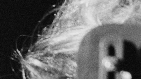 Crean ojo artificial