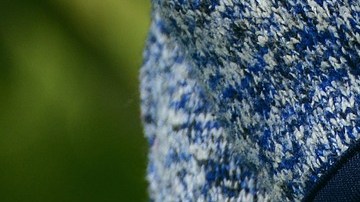 En la jardinería, los niños adquieren un sentido de responsabilidad y propiedad.