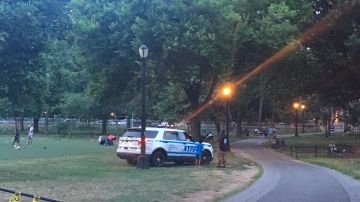 NYPD vigilando parque en Queens