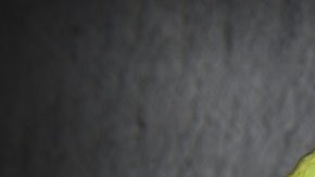 Estos productos podrían convertirse en desperdicio si los compras en Costco.