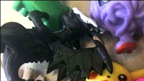 Pokemon decomiso