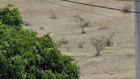 Los criminales murieron al interior del auto.