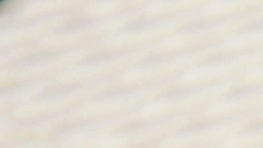 Puedes responder al Censo por internet, correo o teléfono.