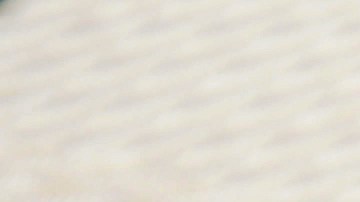 Puedes responder al Censo por internet, correo o teléfono.