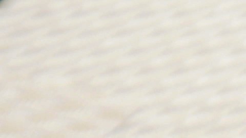 Puedes responder al Censo por internet, correo o teléfono.