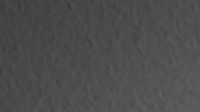 La mujer golpeó brutalmente en la cabeza al perro.