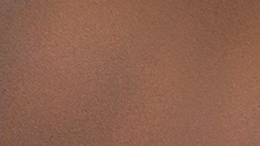 ¿Qué tan seguro es consumirlos?