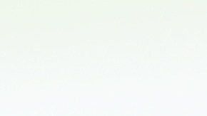 Solo el 3% de la población, a nivel mundial, es alérgico a la picadura de este insecto.