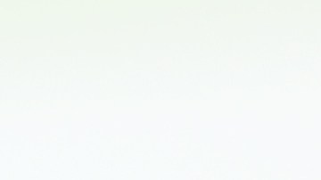 Solo el 3% de la población, a nivel mundial, es alérgico a la picadura de este insecto.