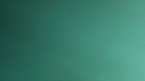 Uno de los peleadores se llevó la peor parte.