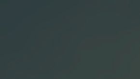 Incluso, Trump se manifestó en Twitter sobre este suceso.