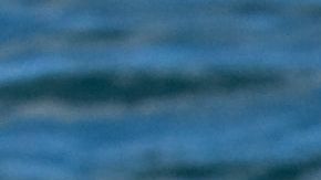 Australia es uno de los países que registra, cada año, mayor número de ataques de tiburón.