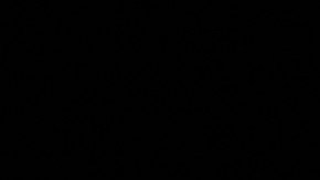 Una plaga de polillas gitanas asiáticas puede acabar con hectáreas de bosques.