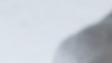 La mujer le dio a beber una mezcla de medicamentos y raticida.