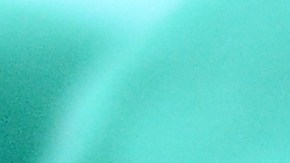 bebé recién nacido