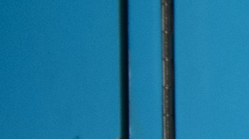 acoso escolar bullying